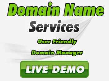 Cut-price domain name service providers